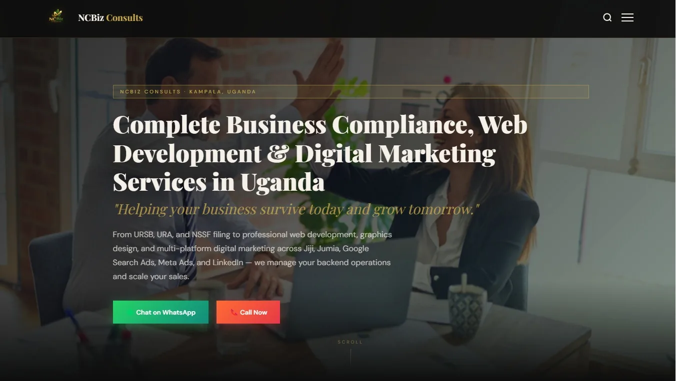 NCBiz Consults website