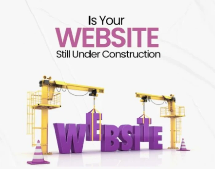 Professional Business Website Development